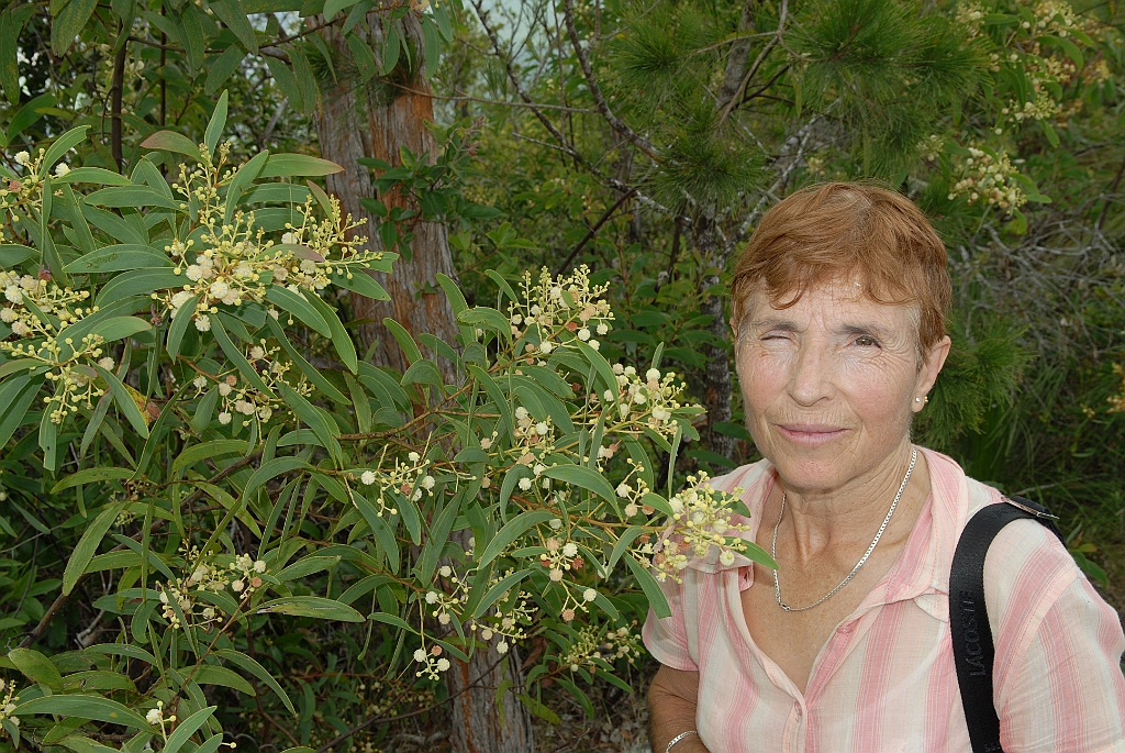 0646 Walshs Pyramid.jpg